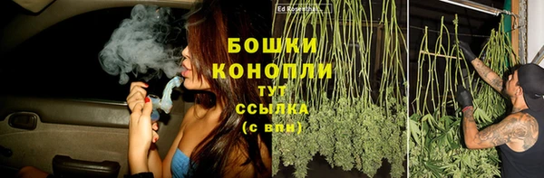 молекула духа Навашино