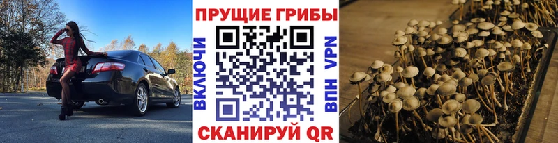 Псилоцибиновые грибы MAGIC MUSHROOMS  Новоульяновск 